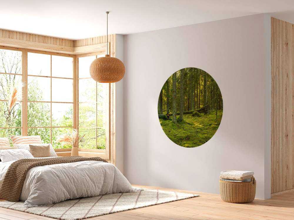 Grön tallskog