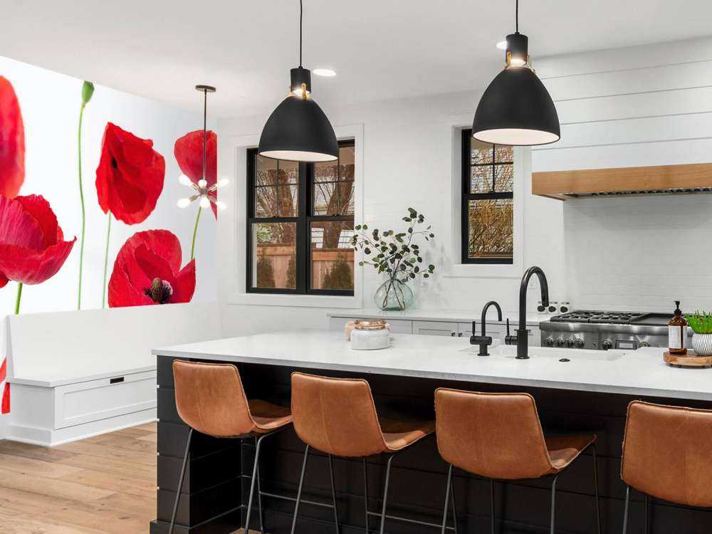 Vallmor på vit bakgrund