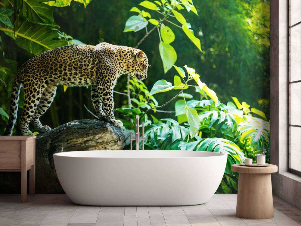 Leopard på en klippa