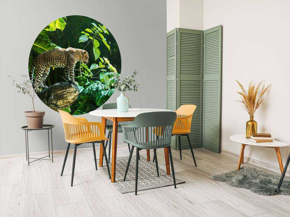 Leopard på en klippa