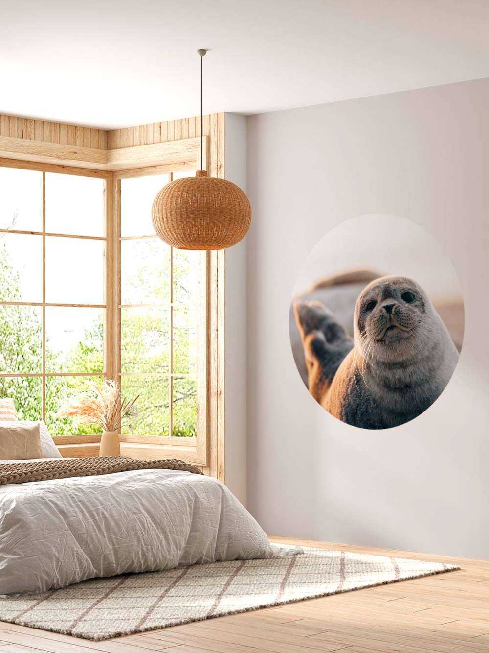 Säl på stranden i kvällsljus