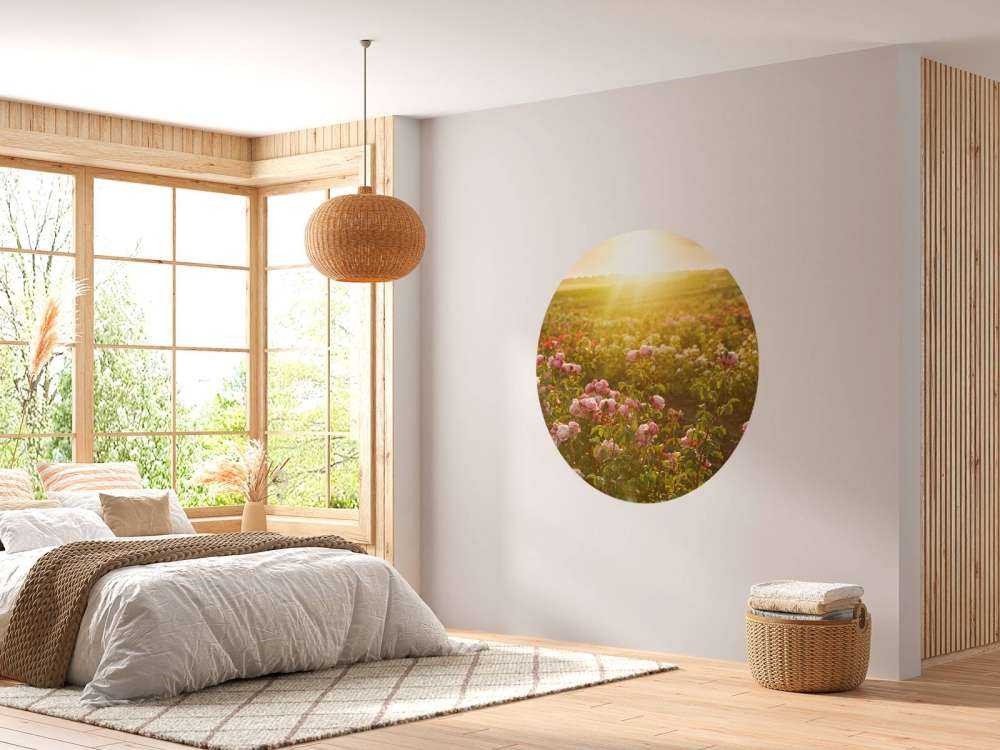 Fält fullt av rosor