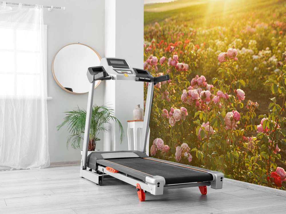 Fält fullt av rosor