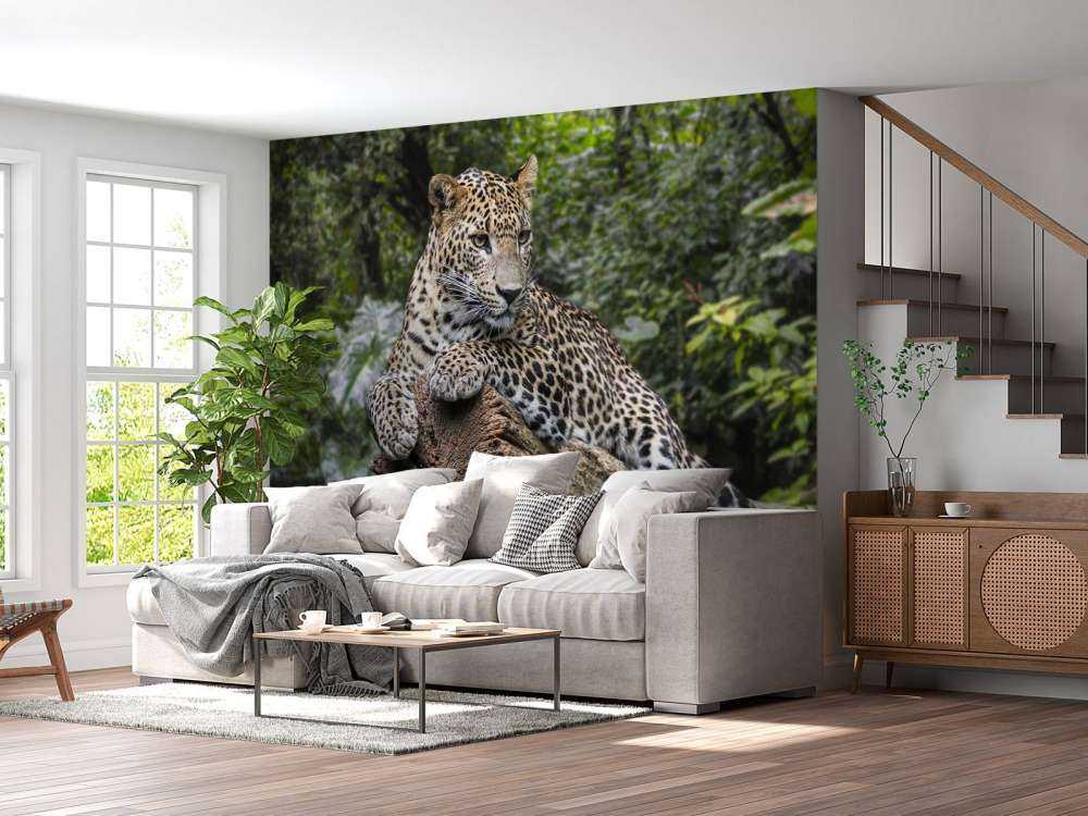 Leopard på träd