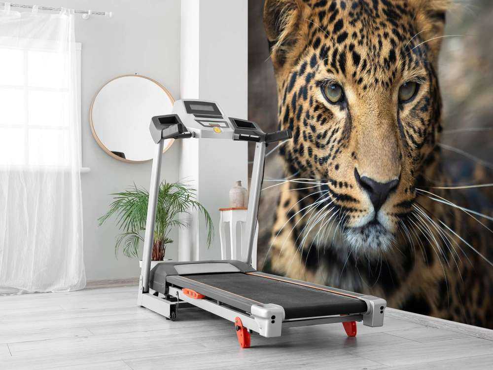 Närbild på en leopard