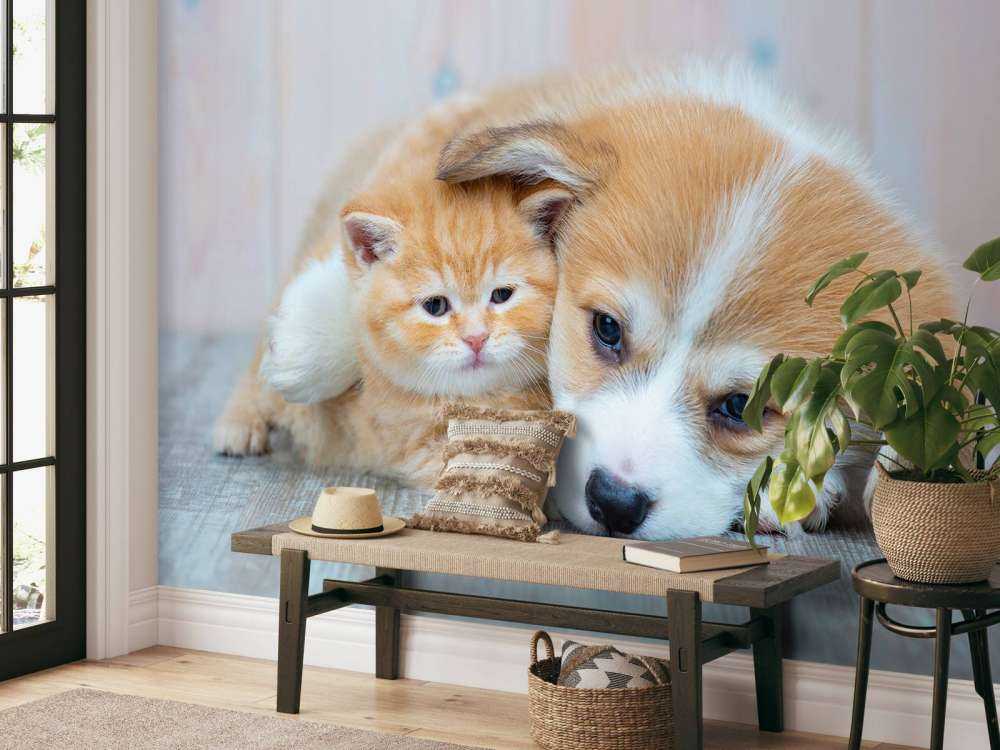 Katt tapet. Bild av en kattunge och valp.