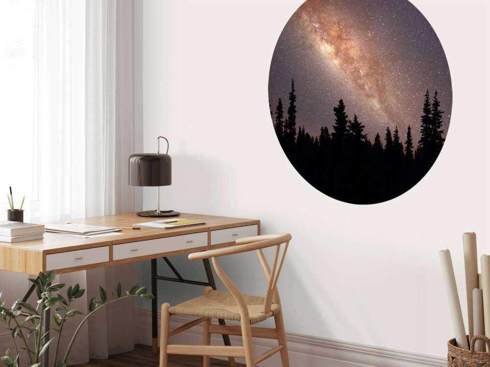 Vintergatan över siluett av träd