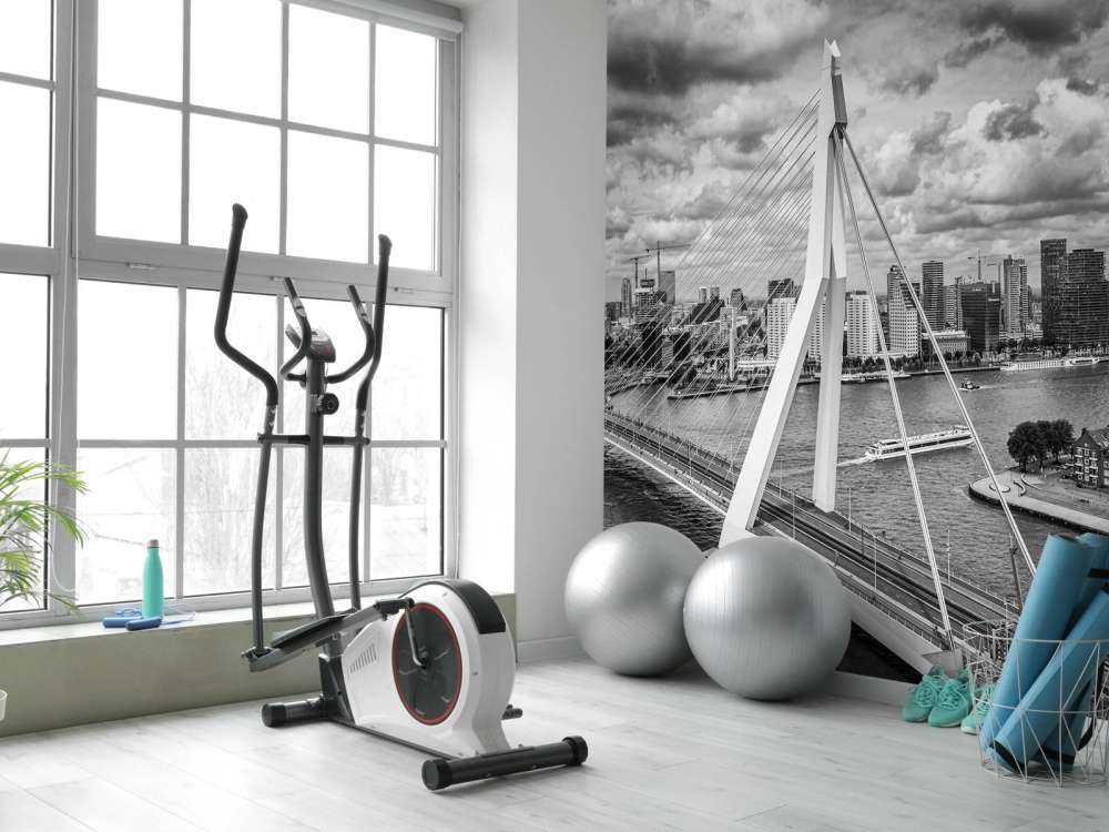 Rotterdams stadskärna från hög höjd i svartvitt 