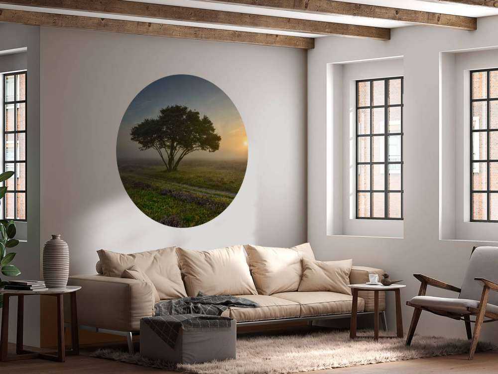 Soluppgång på heden