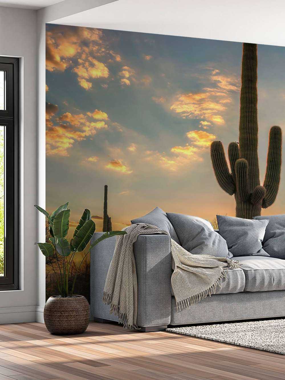 Kaktus vid solnedgången