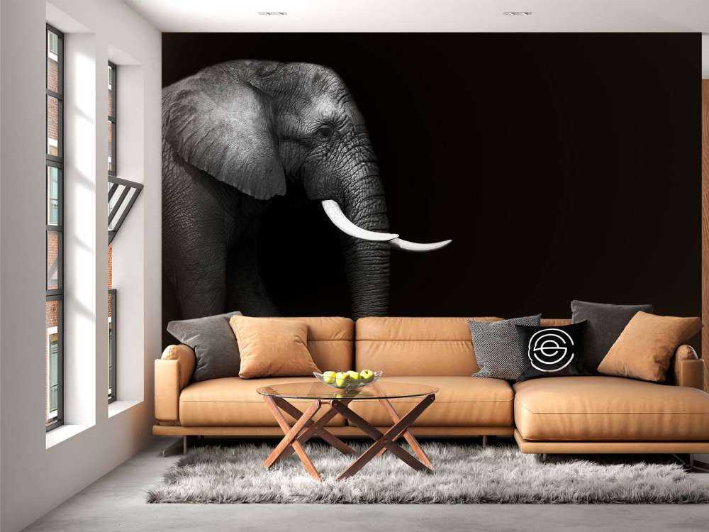 Elefant på gräs
