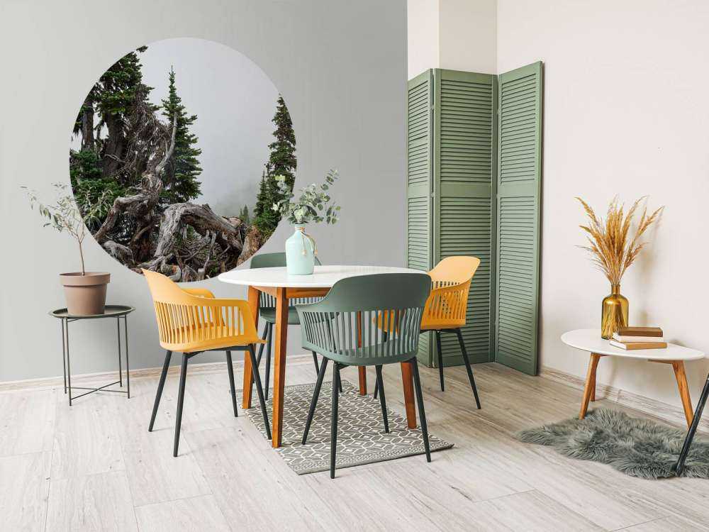 Träd och gamla träd