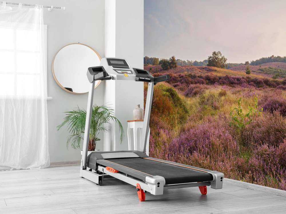 Hedmarker vid soluppgång