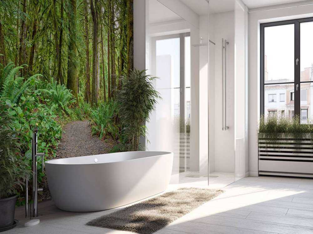 Sti med sten genom skogen