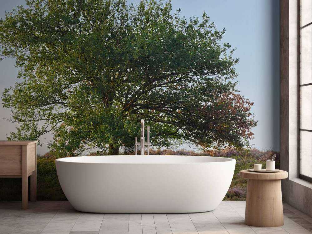 Ensamt träd på hedan