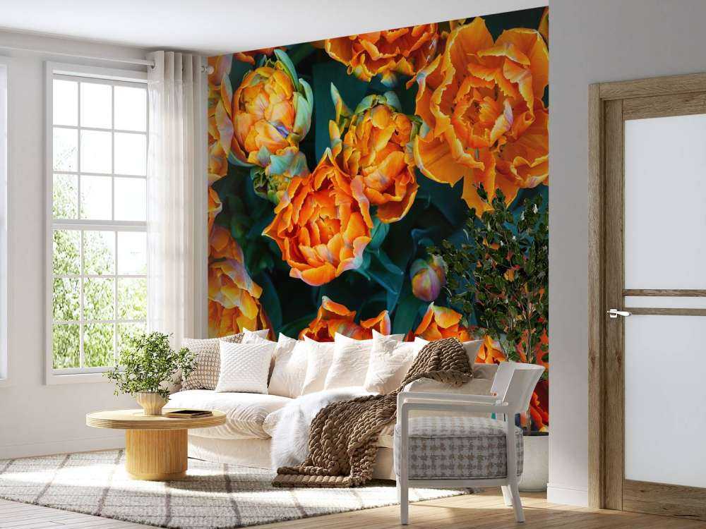 Nærbillede af orange tulipaner