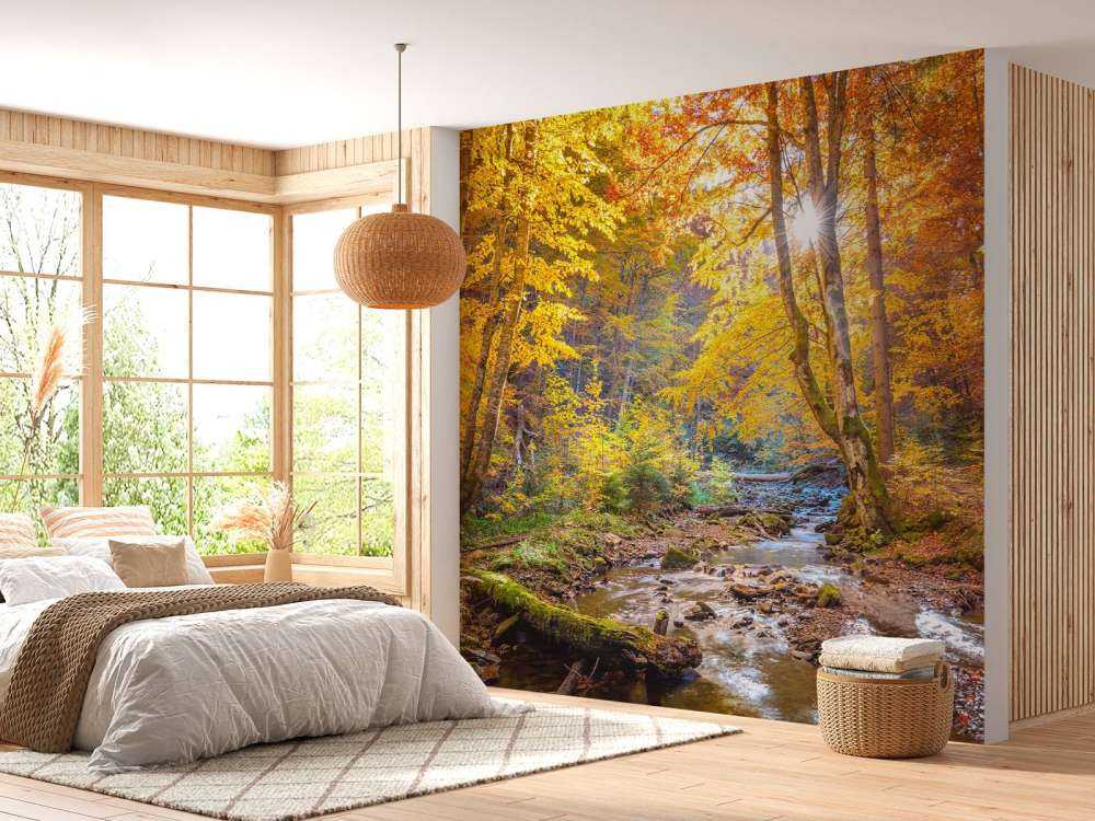 Efterår i en vild skov