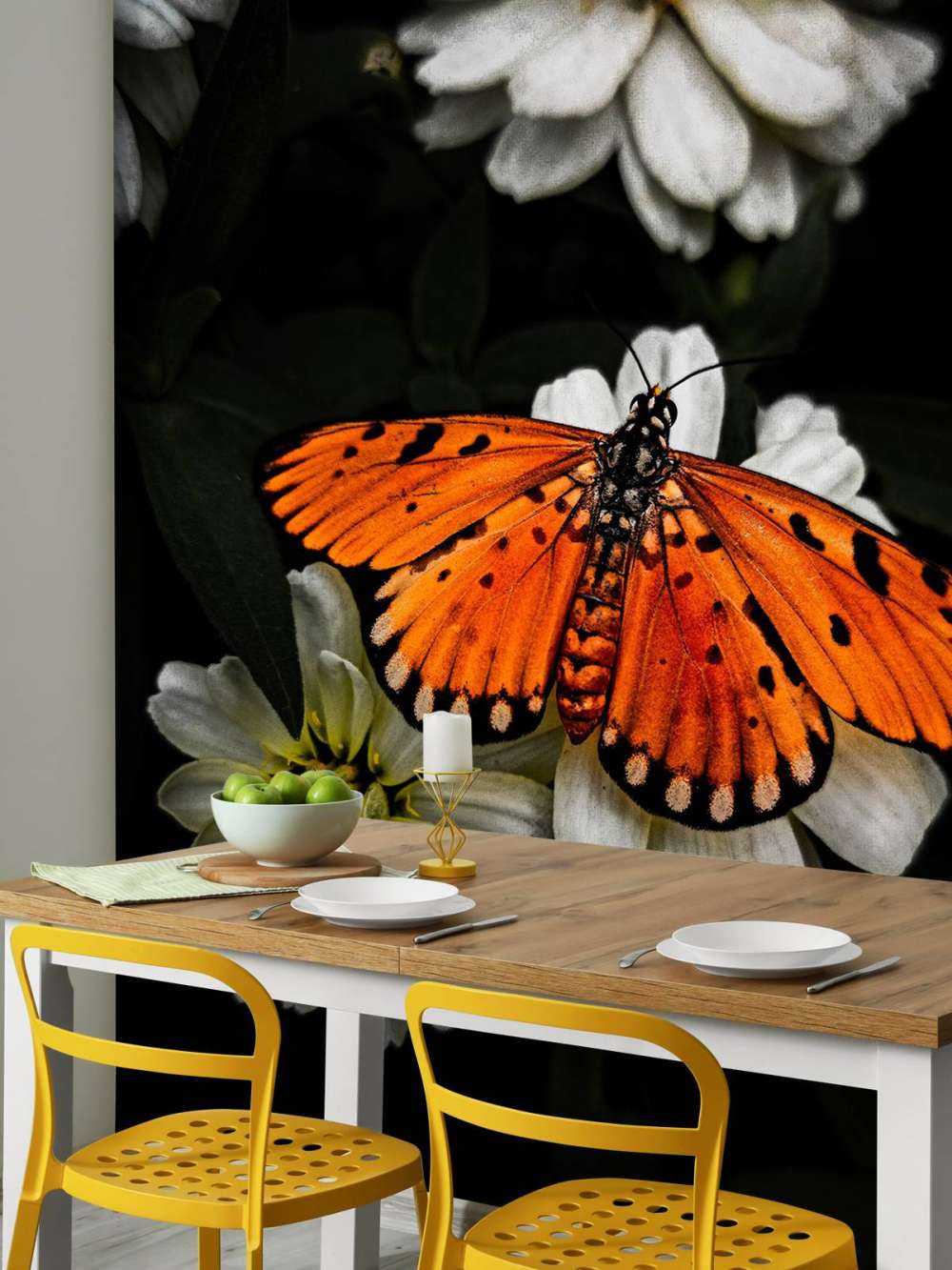 Monark-sommerfugl på en blomst