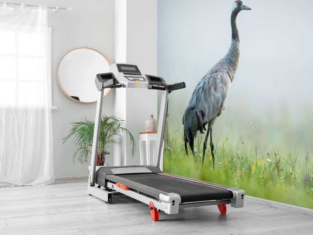 Kraanvogel in de ochtendmist