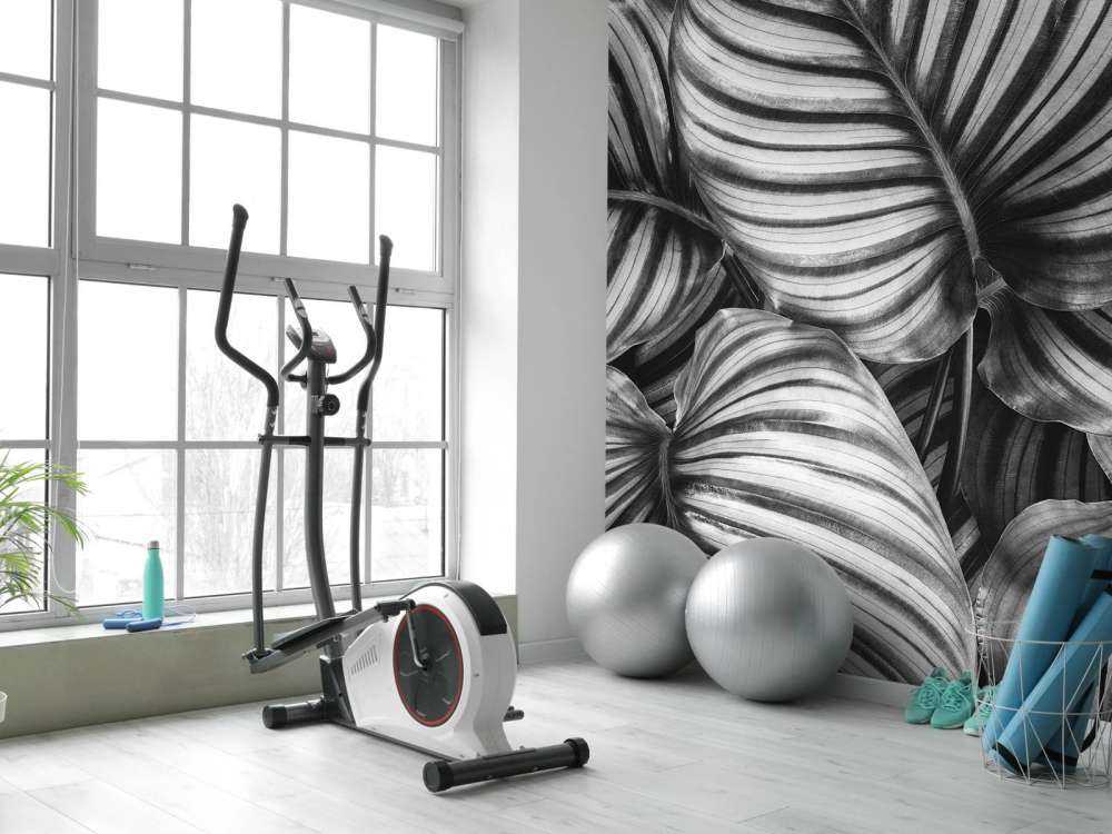 Plante med stribede blade