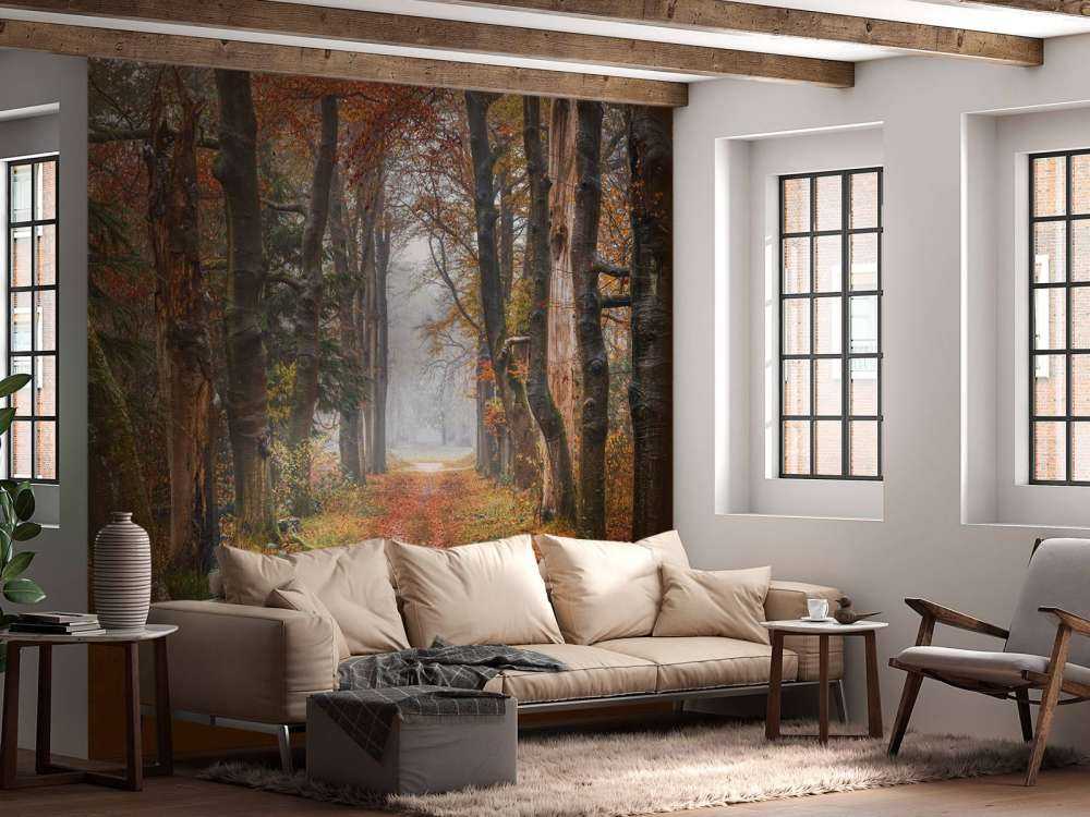 Skovsti med gamle træer