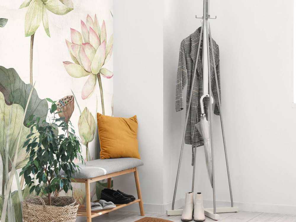 Lovely Water Lillies