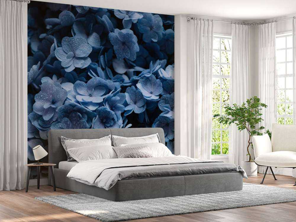 Nærbillede af hortensia