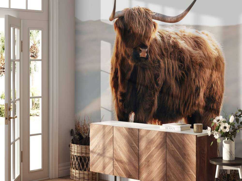 Skotsk højlander på en bakke