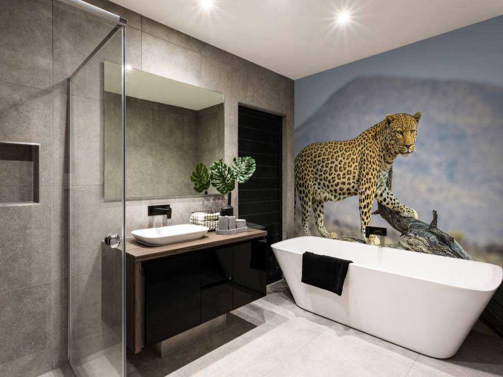 Leopard i Namibia