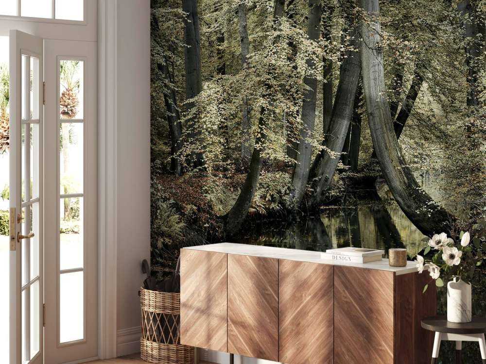 Vandløb med hængende træer