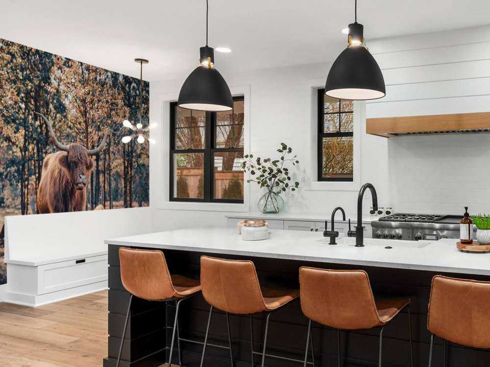 Skotsk highlander i udkanten af skoven