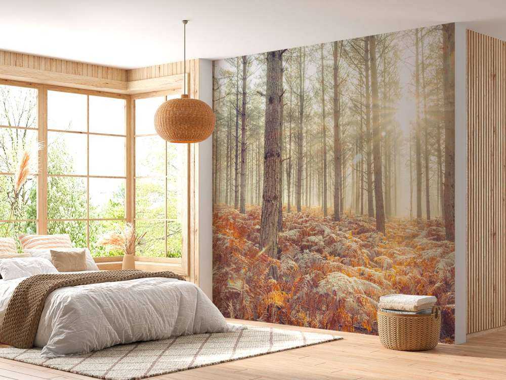 Solstråler gennem de kolde træer