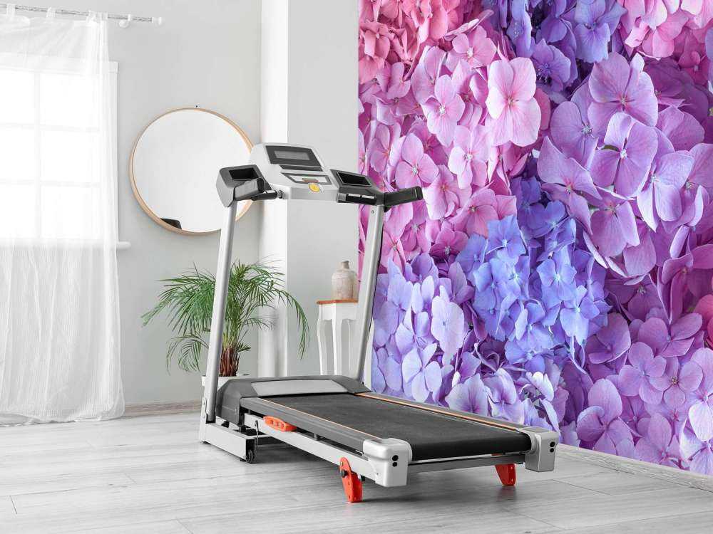 Farverige hortensiaer