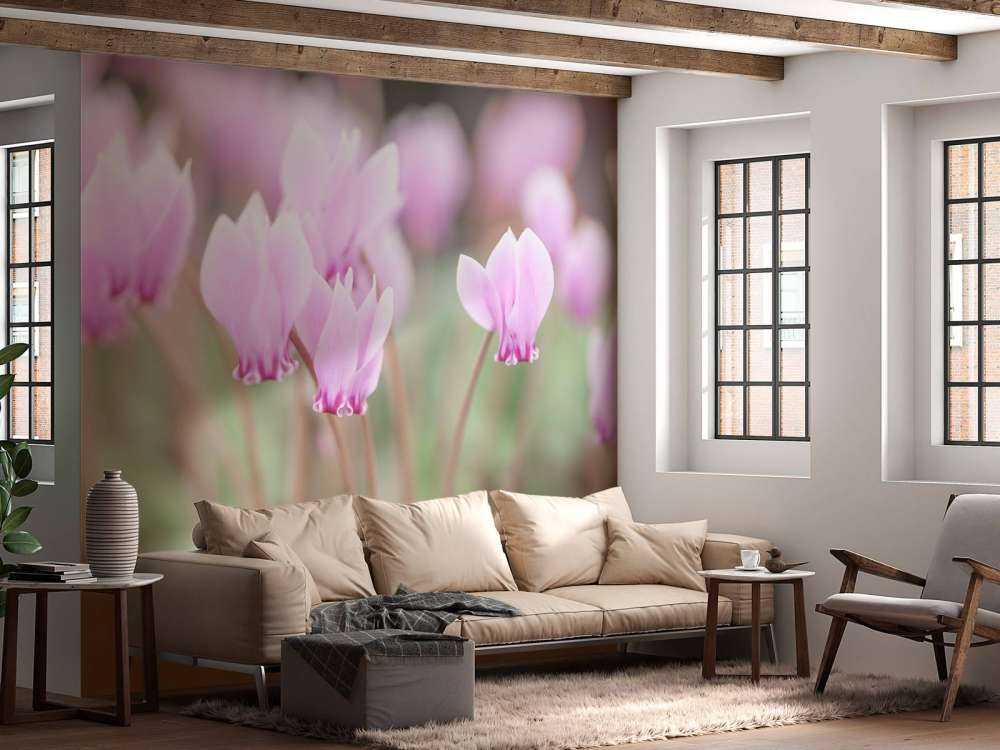 Smukke vedbend blomster