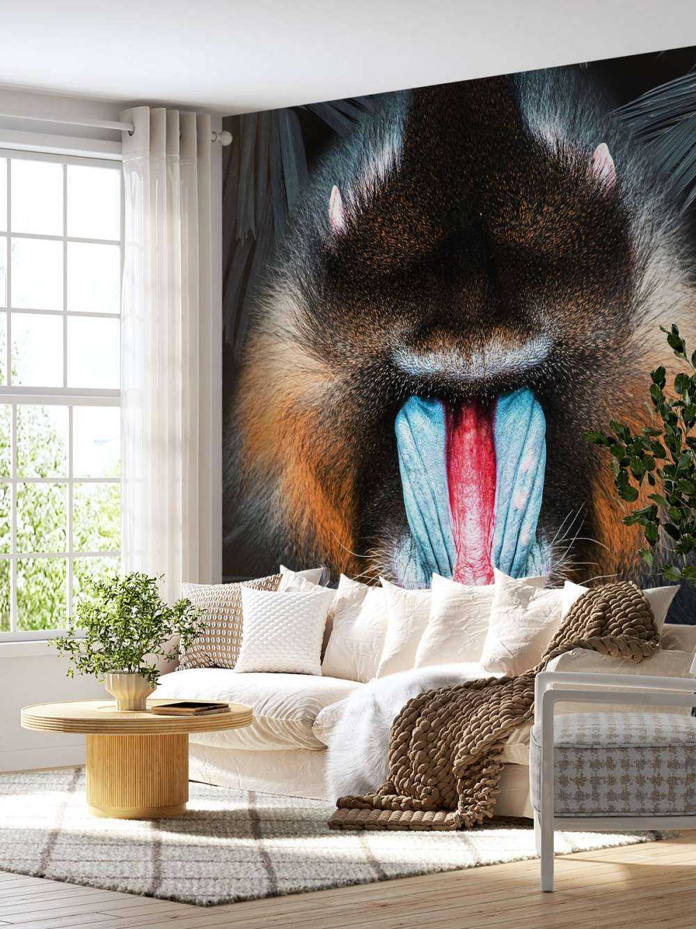Mandrill Portræt