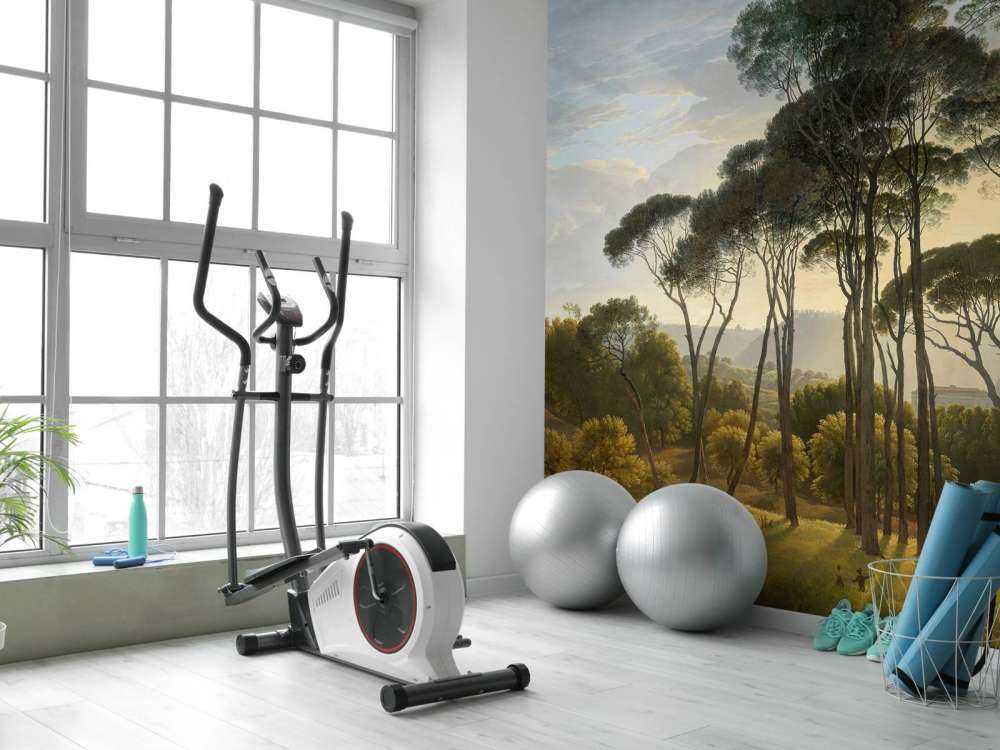 Italiensk landskab med parasol fyrretræer