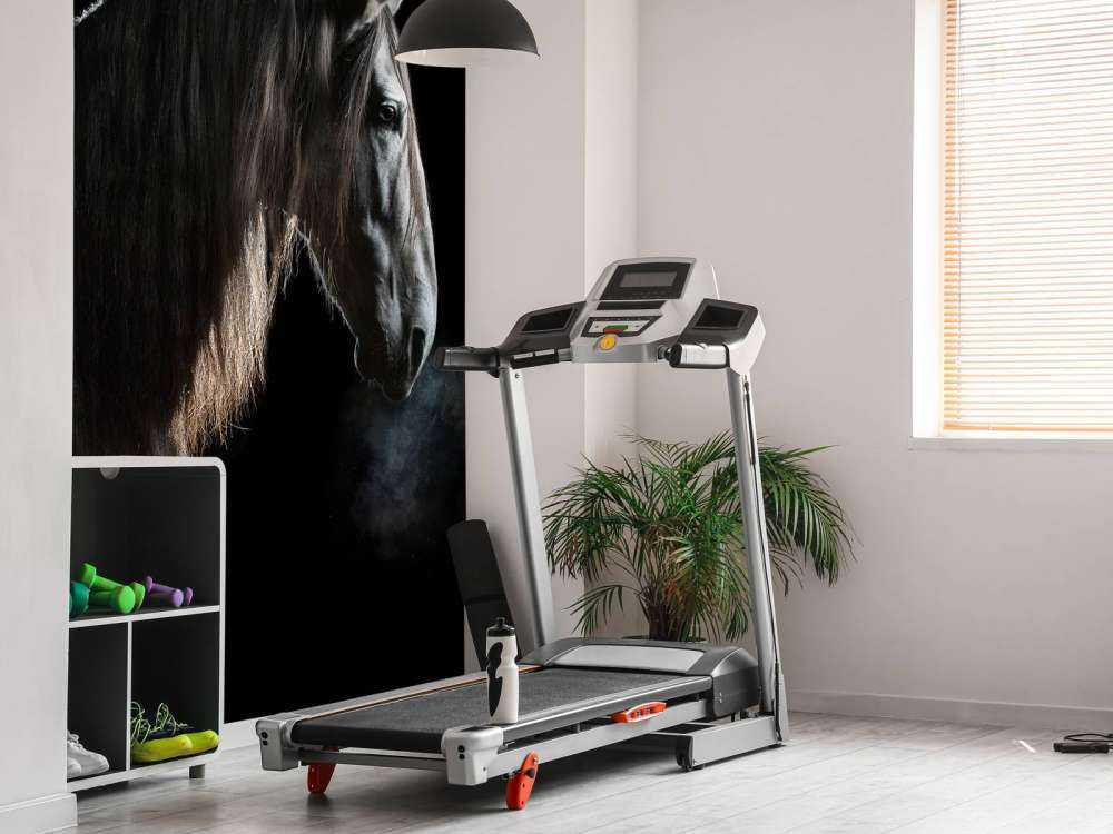 Skimmel med sort tapet