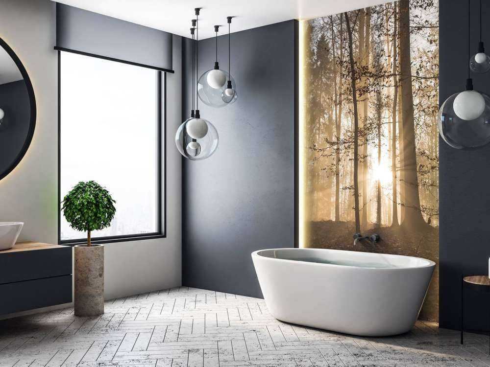 Solskin i en tåget skov