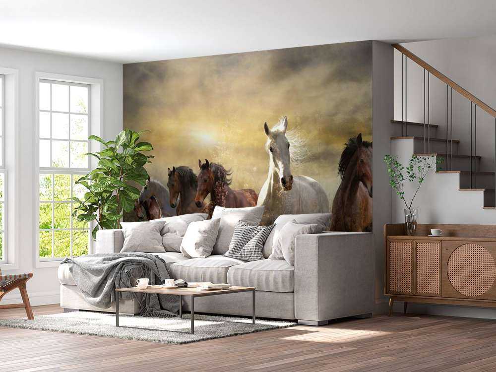 Galopperende heste ved solnedgang