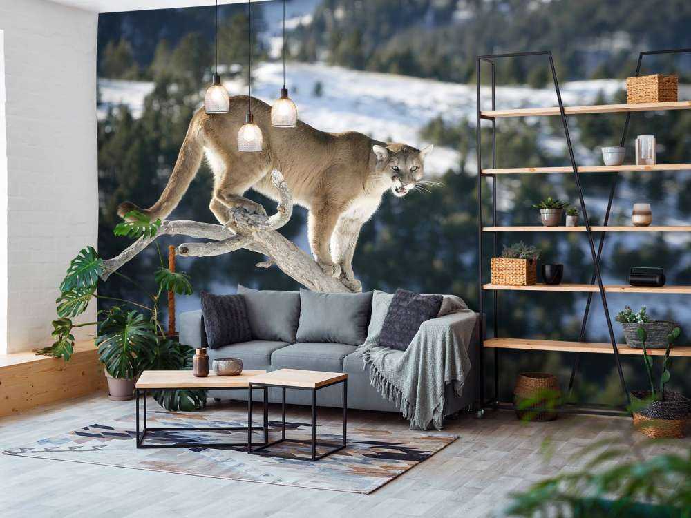 Bjergløve __på et dødt træ