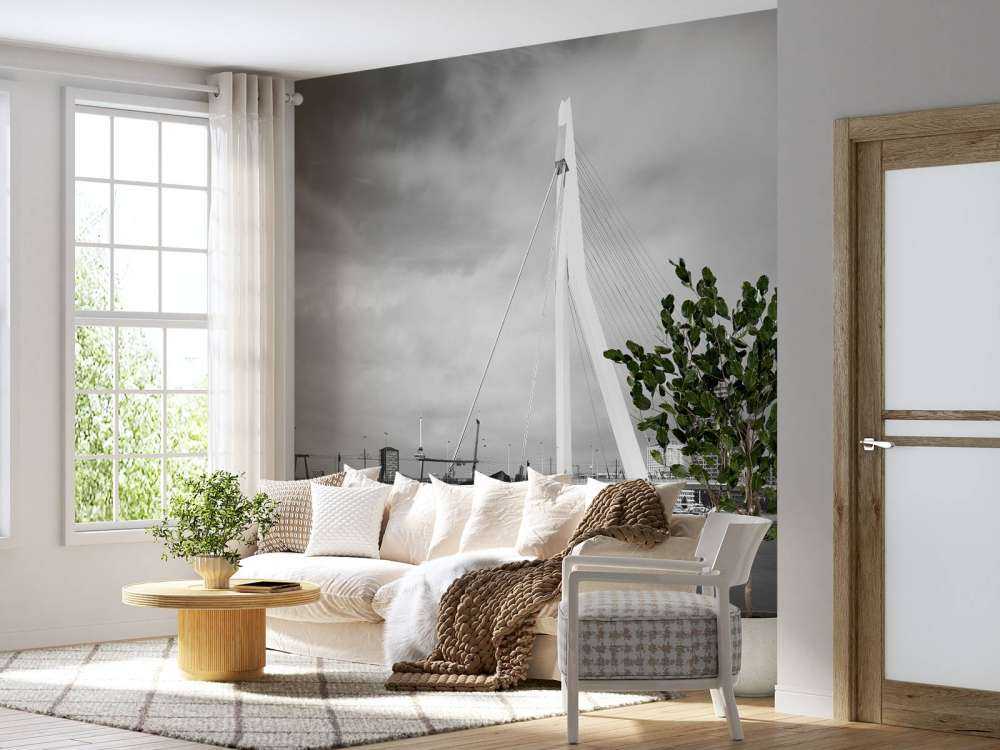 Erasmus bro Rotterdam