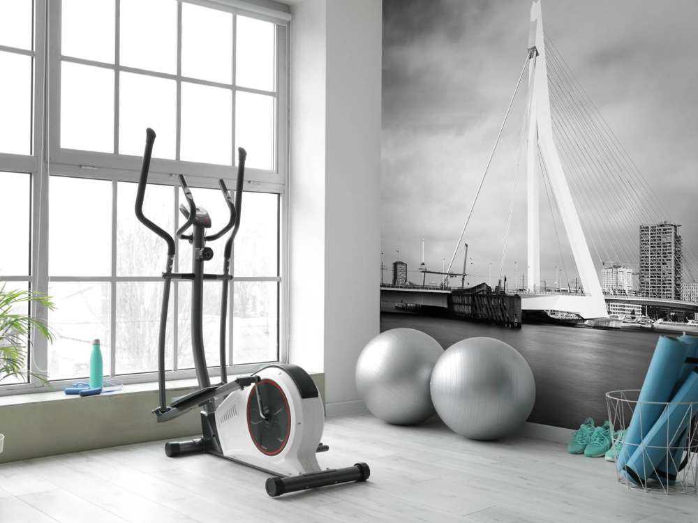 Erasmus bro Rotterdam