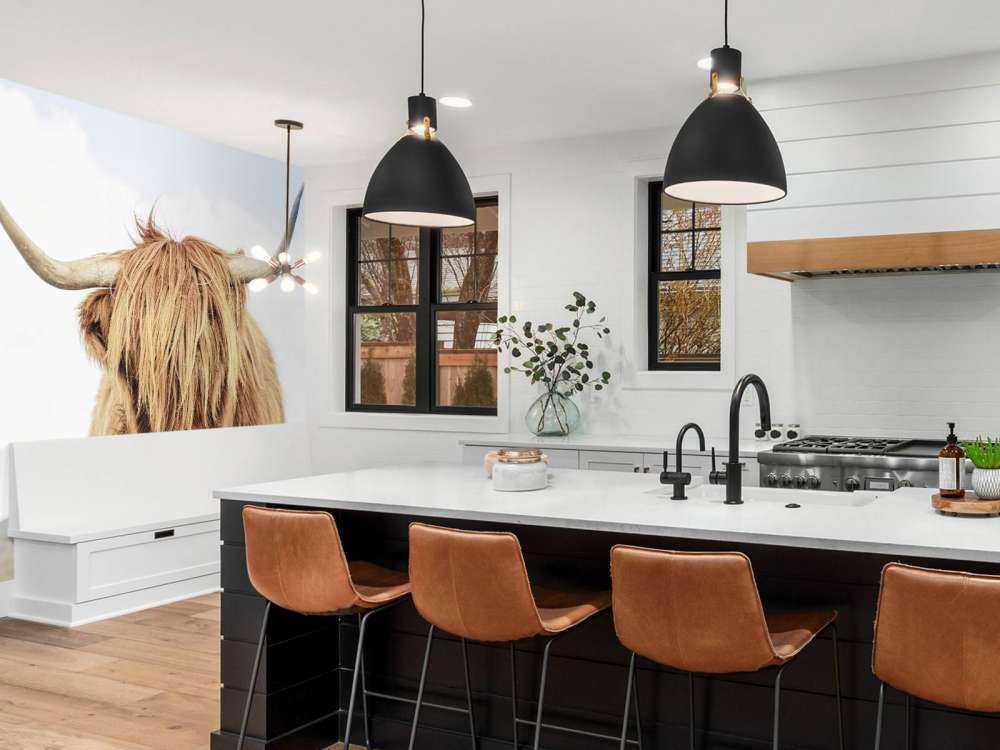 Nærbillede af en skotsk højlander