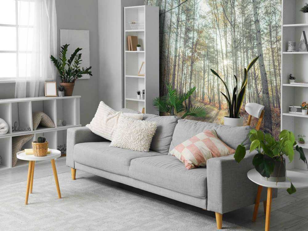 Sti gennem en solbeskinnet skov