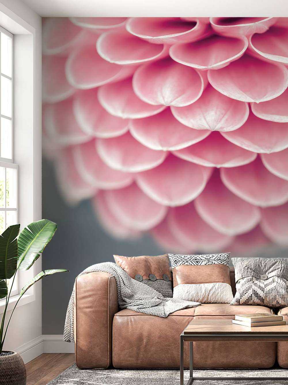 Dahlia i nærbillede