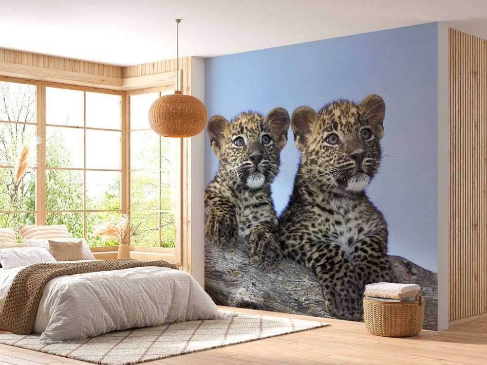 Små leoparder