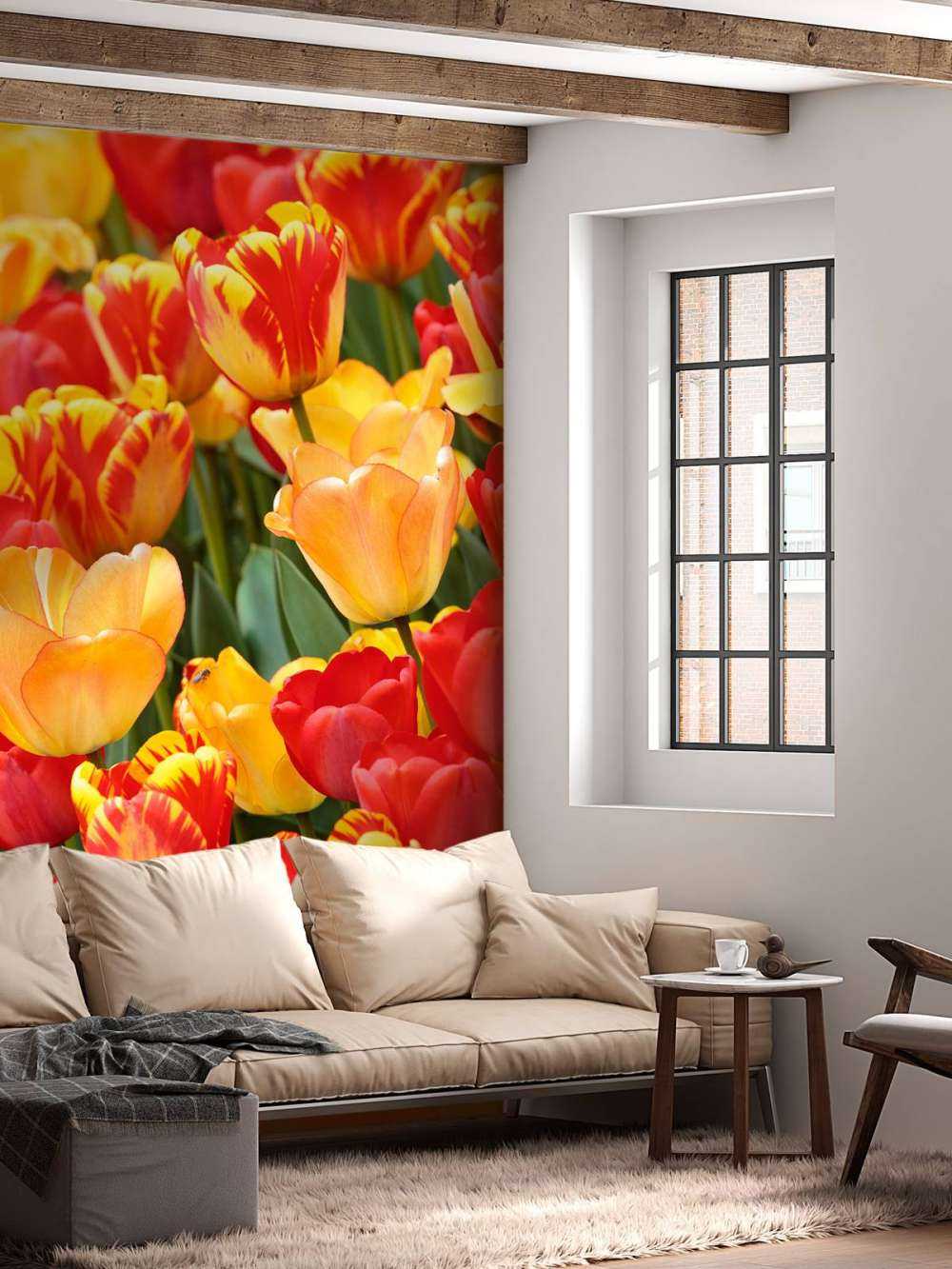 Farvede tulipaner