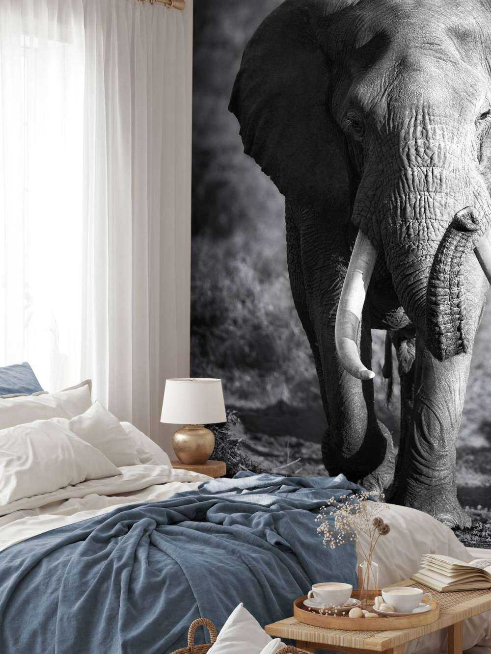 Afrikansk elefant