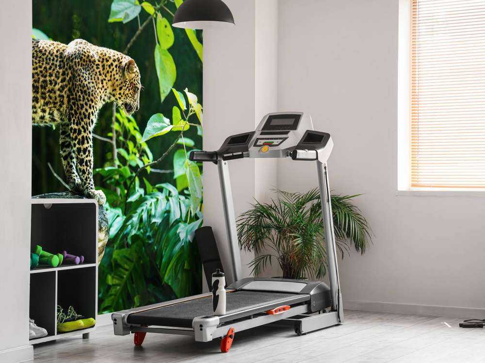 Leopard på en klippe