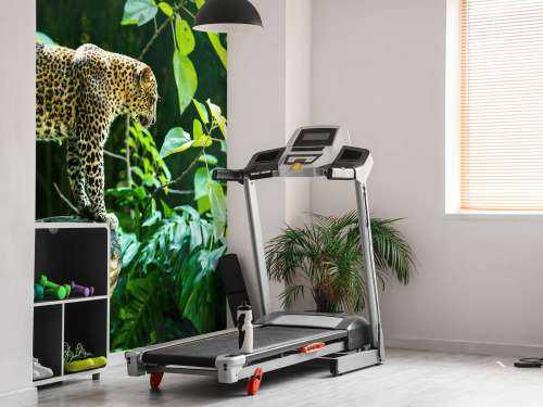 Leopard på en klippe
